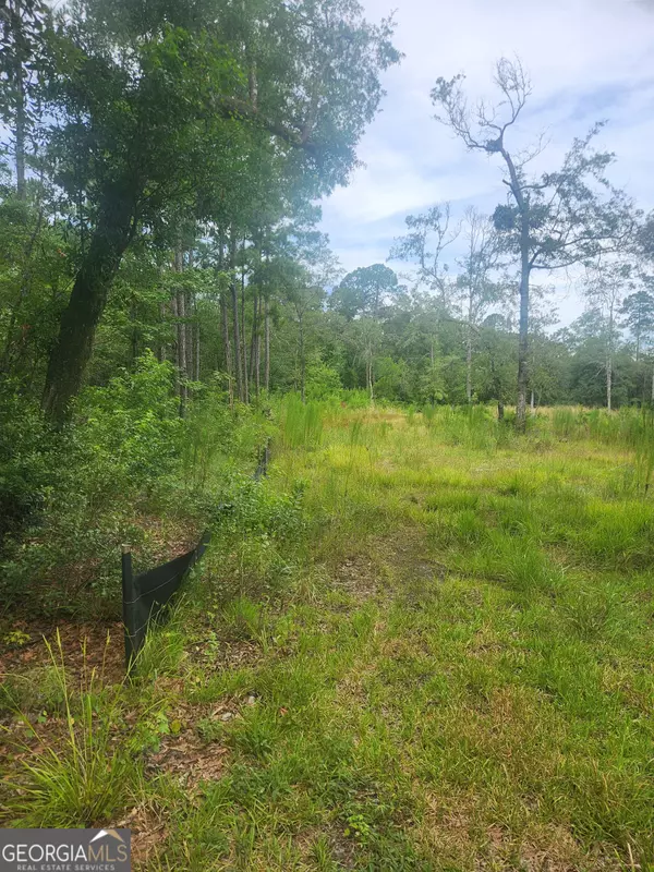 St. Marys, GA 31558,321 Sandhill RD