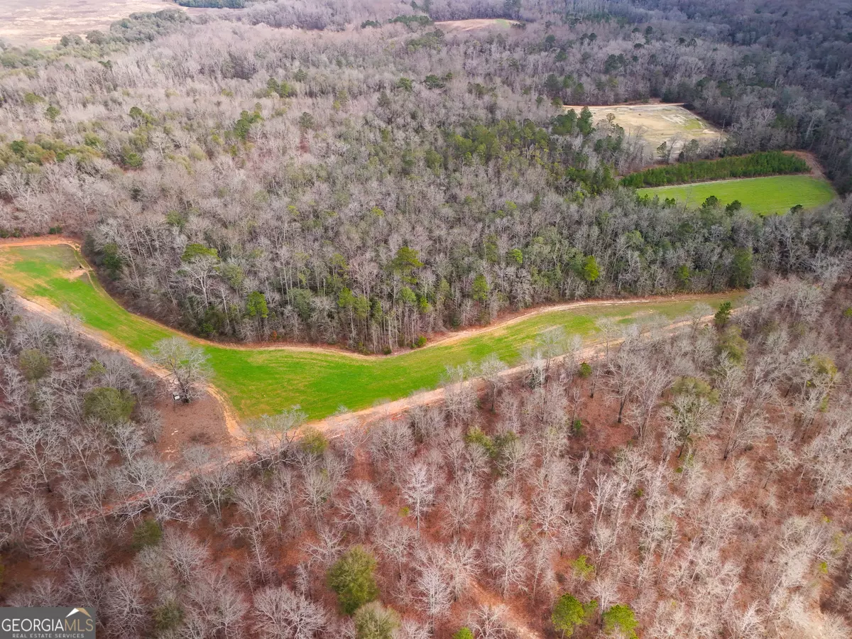 Plains, GA 31780,0 Bob Dodson RD