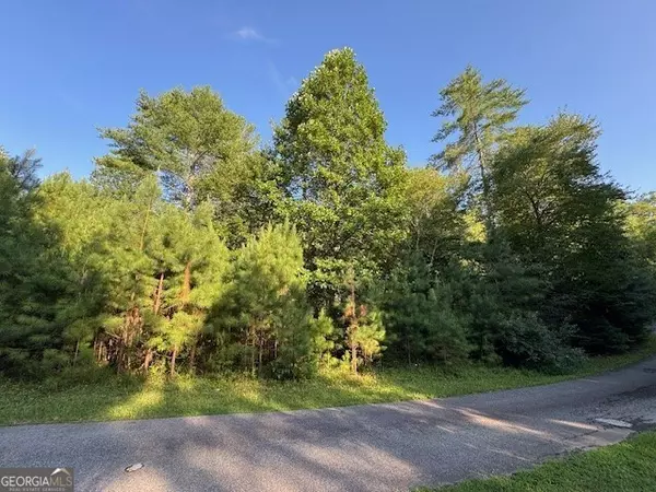 Mineral Bluff, GA 30559,LT 1 Newberry DR