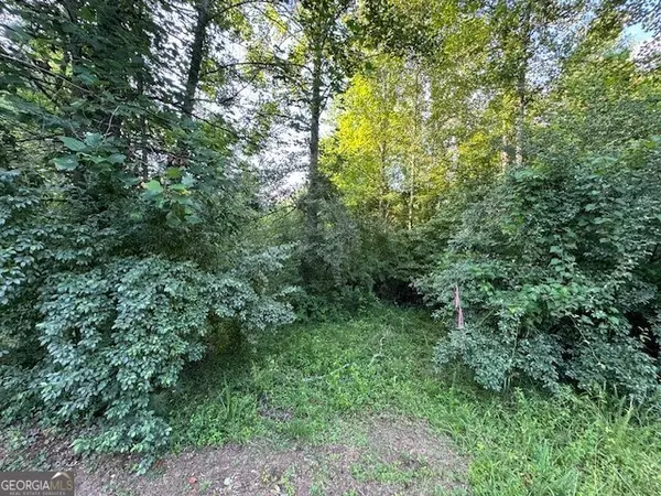 Mineral Bluff, GA 30559,LT 1 Newberry Drive