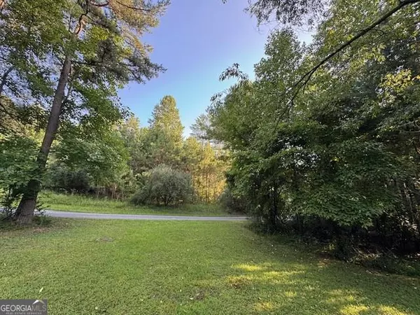 1.18 Newberry Drive, Mineral Bluff, GA 30559