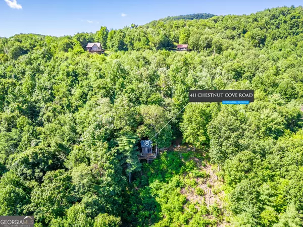 Blairsville, GA 30512,411 Chestnut Cove RD
