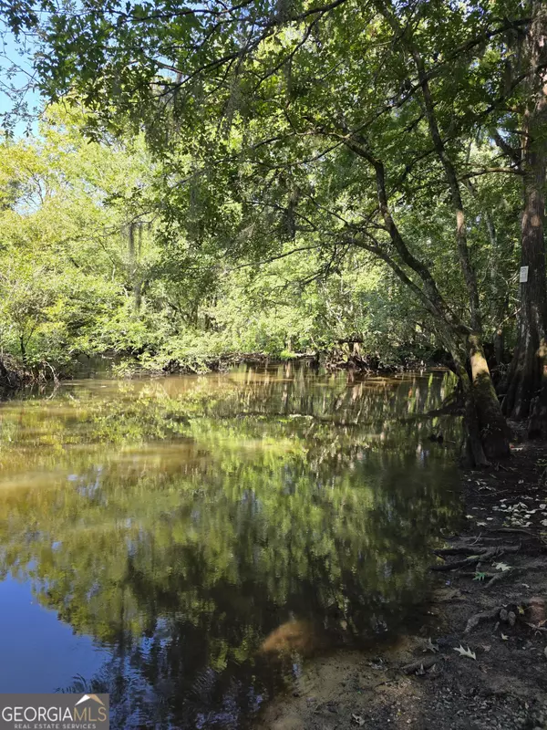 Millen, GA 30442,0 Old Eighty RD