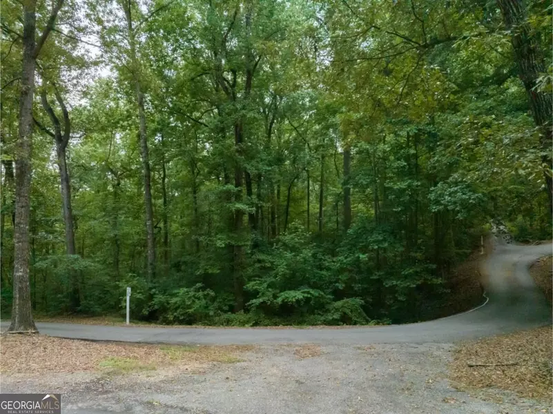 0 Rue Fluer De Lis #LOT # 13, Lavonia, GA 30553