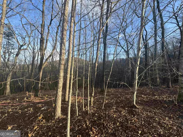 Cleveland, GA 30528,LOT 55 Teel Mtn DR