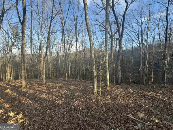LOT 55 Teel Mtn DR, Cleveland, GA 30528