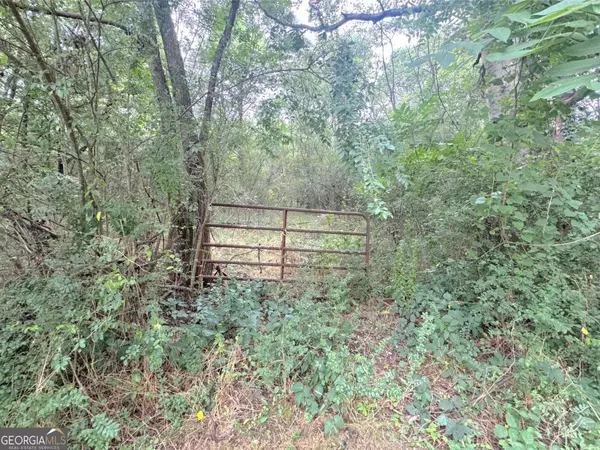0 Lewis RD, Cartersville, GA 30121