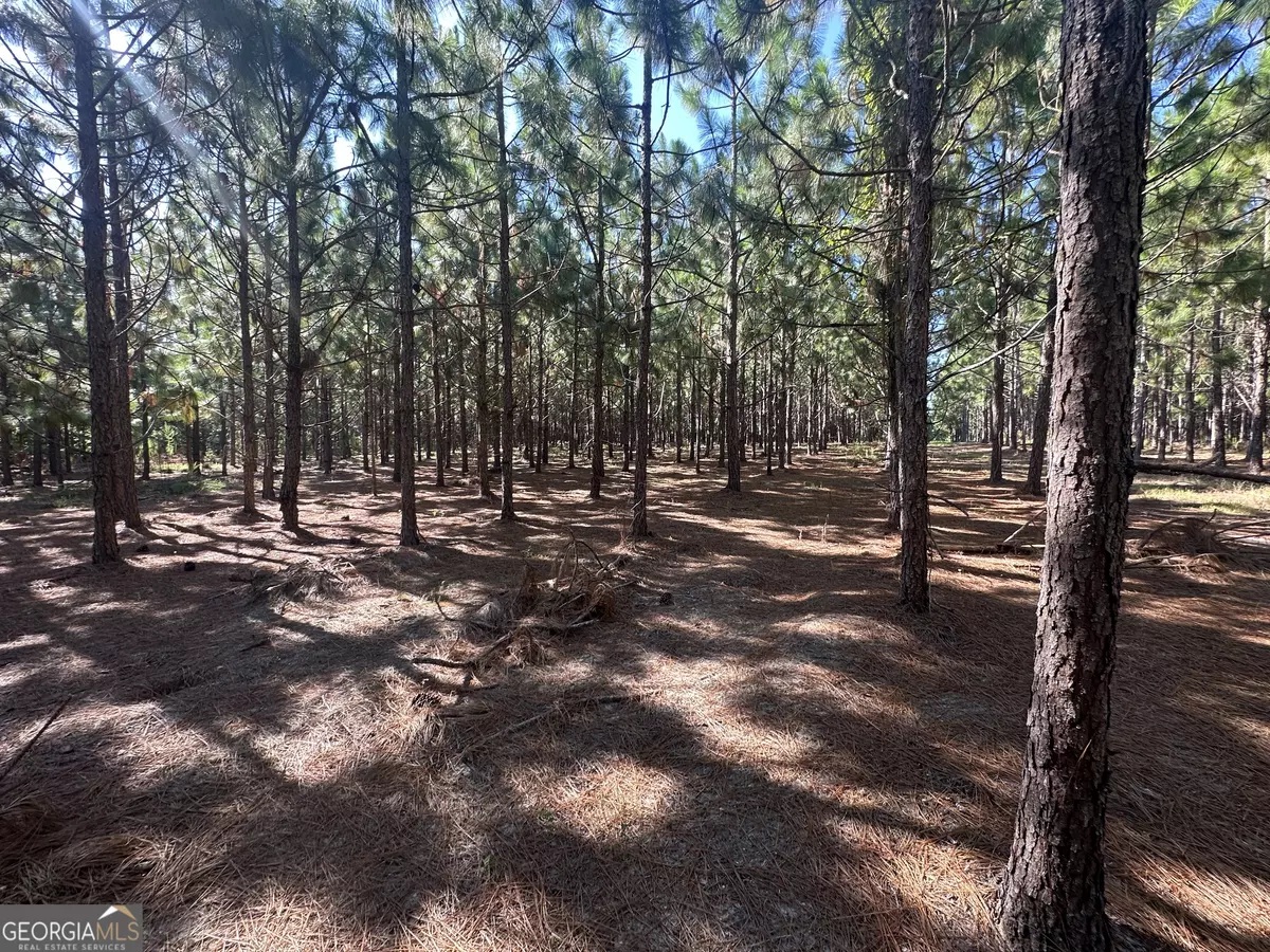 Sylvania, GA 30467,0 Dickey RD
