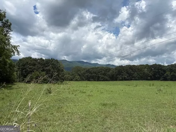 Hayesville, NC 28904,1321 Winchester Road