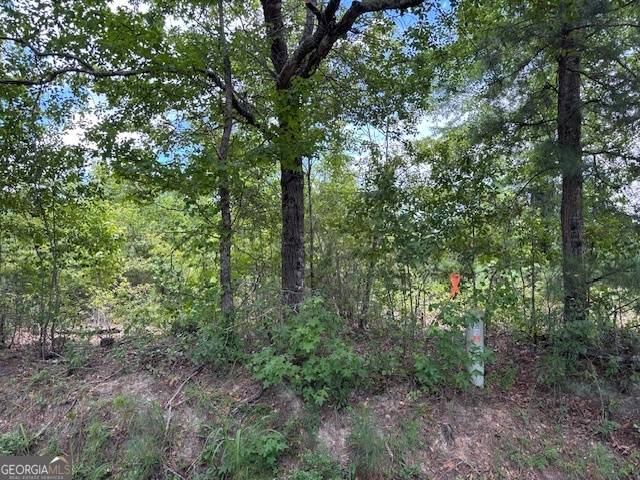 0 Simons RD #LOT 2, Thomson, GA 30824