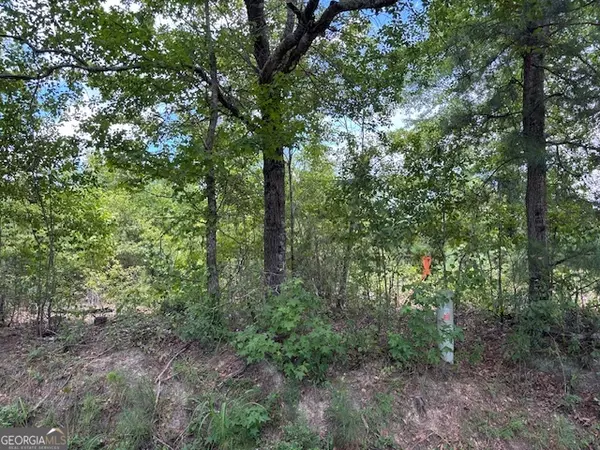 0 Simons RD #LOT 2, Thomson, GA 30824