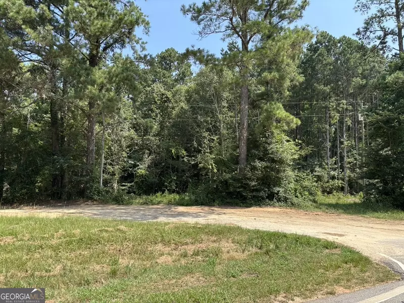 0 Greensboro Hwy, Washington, GA 30673