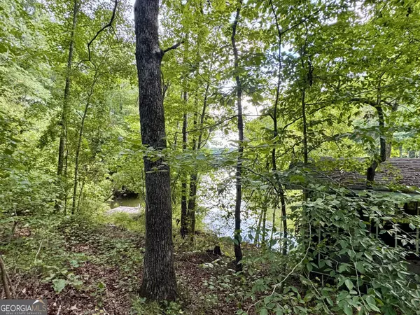 Wedowee, AL 36278,82 Muffet DR
