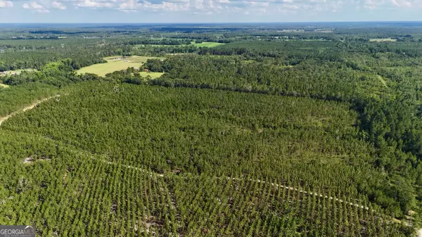 Baxley, GA 31513,0 Penny Morris RD