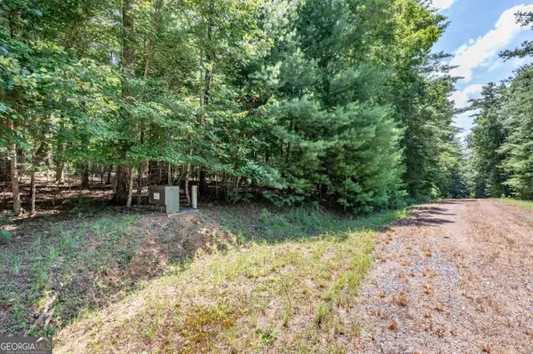 Mineral Bluff, GA 30559,LOT 1 Rocking Chair RDG
