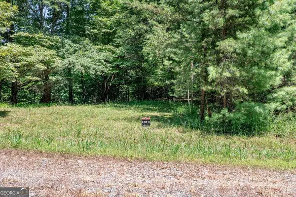 Mineral Bluff, GA 30559,LOT 3 Rocking Chair RDG