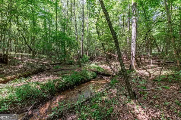 Mineral Bluff, GA 30559,LOT 11 Rocking Chair RDG