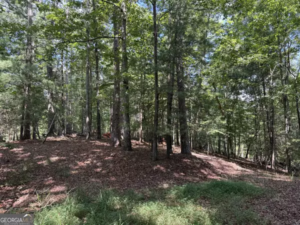 Cornelia, GA 30531,0 Casa Rio DR