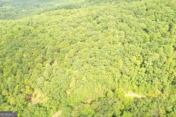 Clarkesville, GA 30523,0 Mountain Sweet