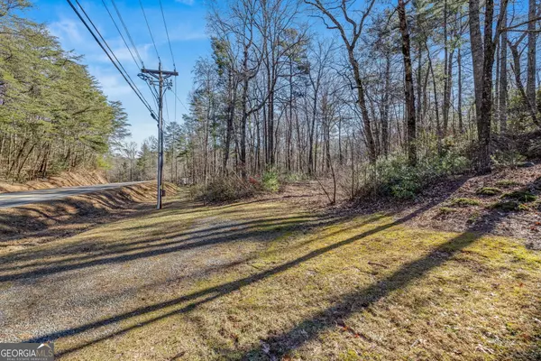 Helen, GA 30545,0 Highway 356