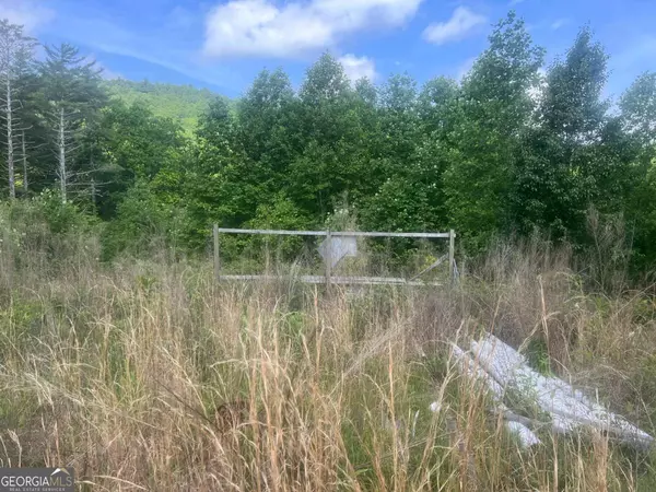 Ellijay, GA 30540,LOT 104 Ashe CT #104