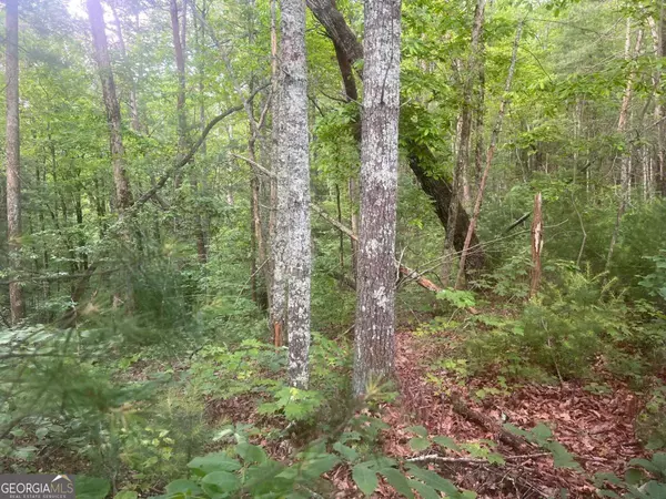 Ellijay, GA 30540,LOT 100 Ashe CT #100