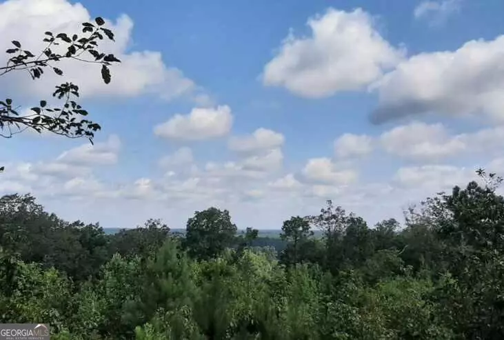 0 Walker RD, Meansville, GA 30256