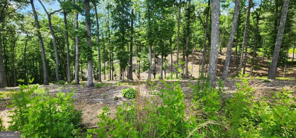 Morganton, GA 30560,LT 106 Split Creek RD #106