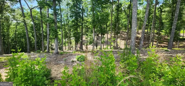 LT 106 Split Creek RD #106, Morganton, GA 30560