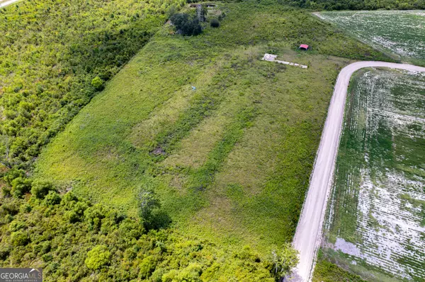 Hazlehurst, GA 31539,LOT 1 Carl Cravey RD