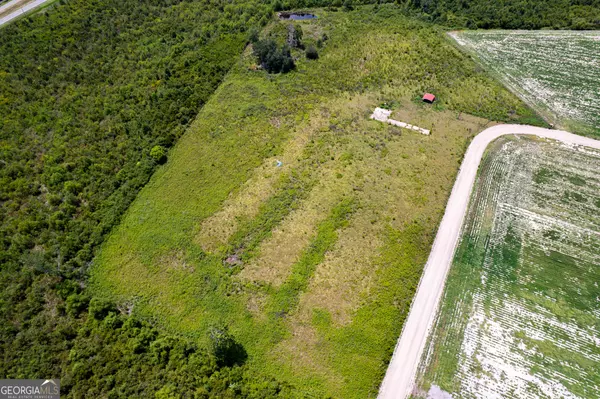 Hazlehurst, GA 31539,LOT 1 Carl Cravey RD