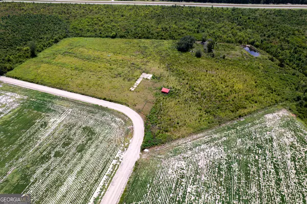 Hazlehurst, GA 31539,LOT 5 Carl Cravey RD