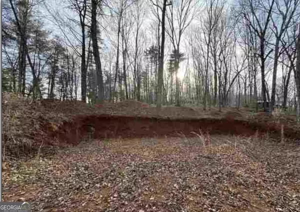 Cleveland, GA 30528,0 Dean Mountain RD