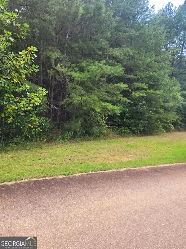 175 Gregory DR, Martin, GA 30557
