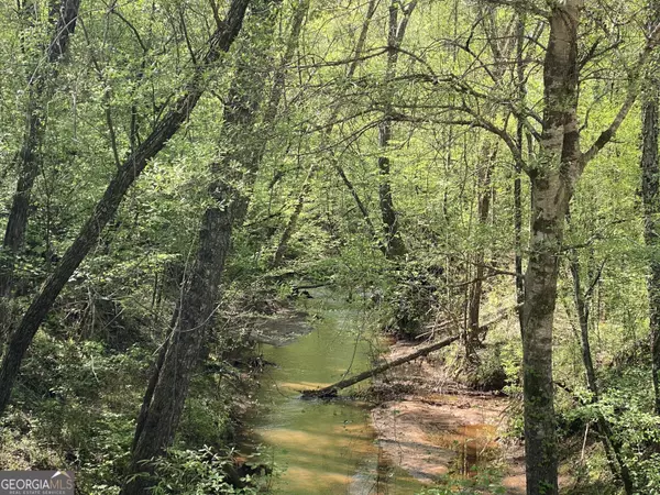 Forsyth, GA 31029,90 +/- ACRES English RD