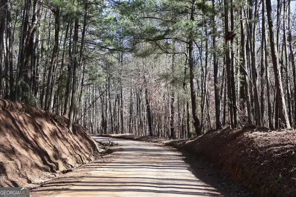 Forsyth, GA 31029,90 +/- ACRES English RD