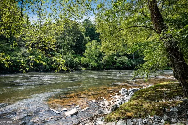 Ellijay, GA 30540,221 Muller LN