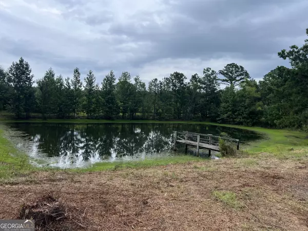 Dudley, GA 31022,811 Davis RD