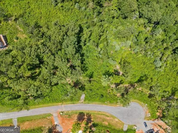 Ellijay, GA 30540,105 River Knoll TRL #105