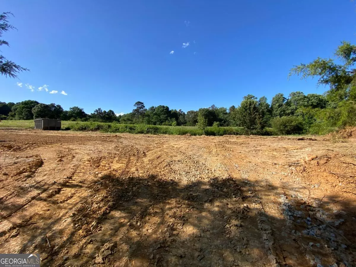Homer, GA 30547,TRACT 2 Hwy 51S