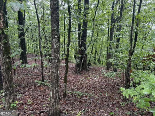 Toccoa, GA 30577,0 Hammond DR