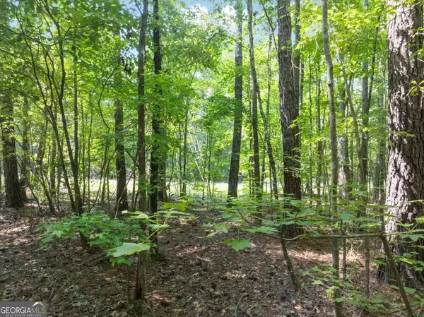 Eatonton, GA 31024,130 Lakeshore DR