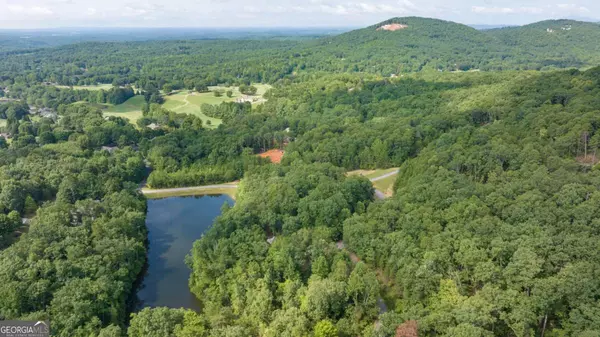 Clarkesville, GA 30523,LOT 39 Pippin CIR