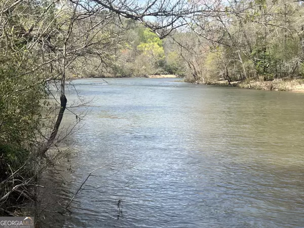 Woodland, GA 31836,0 HWY 36 #LOT 4
