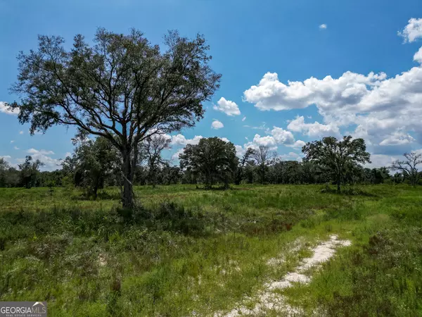 Arlington, GA 39813,0 Nantze Springs