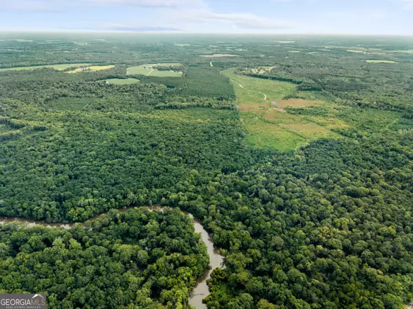 Statesboro, GA 30461,APPRX 218 ACRES Old River RD N