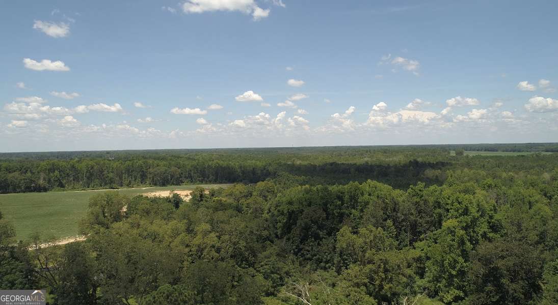 223 CLLYDE WILLIAMS RD, Reidsville, GA 30453