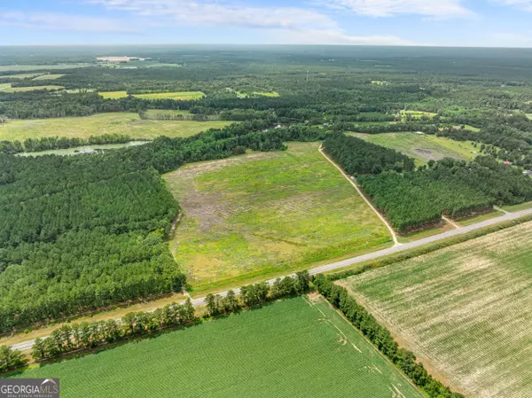 Statesboro, GA 30458,APPRX 34.2 ACRE Highway 301 N