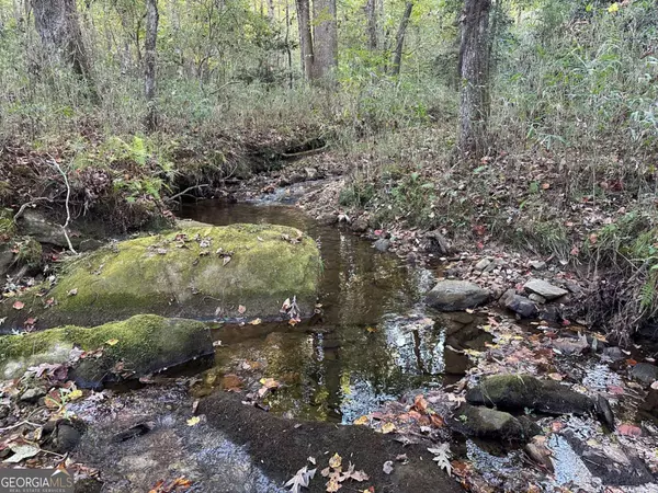 Dahlonega, GA 30533,10 Lee Mashburn RD