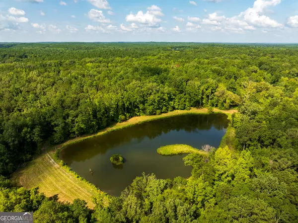 Butler, GA 31006,110 ACRES Talbotton HWY